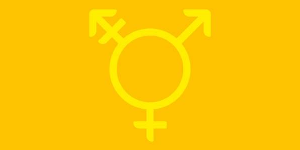 Icono identidad sexual