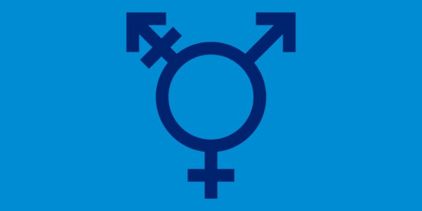 Icono identidad sexual